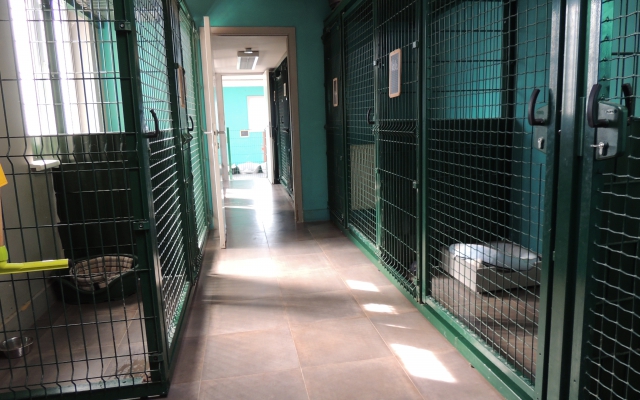 Binnenkennel